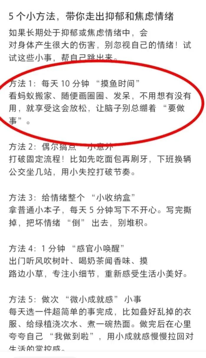 2.jpg 2.jpg
